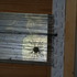 20120922120822-img_5282