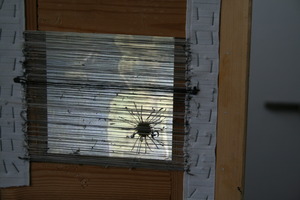 20120922120822-img_5282