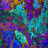 20120923190520-sunflower_splash_san_fran_aug_2012_72ppi_17