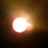 20120923224138-vogel_still