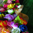 20120924145002-rabbit