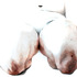 20120924175706-knees
