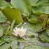 20120924223521-parse_image