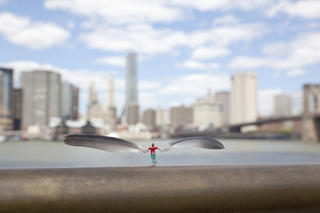 Skyscraping, Brooklyn Bridge Park, New York, USA,Slinkachu