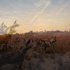 20120925155040-wilderness_5