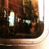 20120925155614-wilderness_8