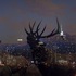 20120925160826-bond_britannie_wilderness_1