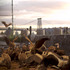 20120925162953-wilderness_12