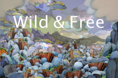 20120926193602-wildandfree_postcarda