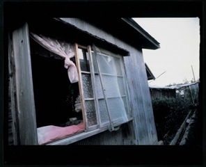 Ominato (Small Colour Portfolio) ,Daido Moriyama