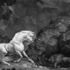 20120927172753-event_stubbs_horse_lion_304x384