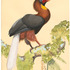 20121010155601-hornbill_tomb_sm
