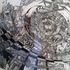 20120928142642-new2