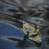 20120928225904-image-1