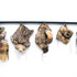 20120929054755-chunks