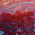 20120930102202-terra_incognita_2