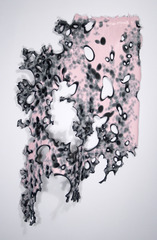 \'50s Fade ,Kris Scheifele