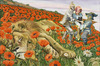 20121001011111-poppies_b