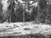 20121001032254-26312283
