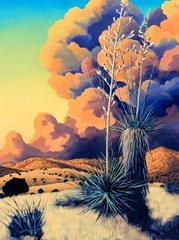 Yucca Sunset,Doug West