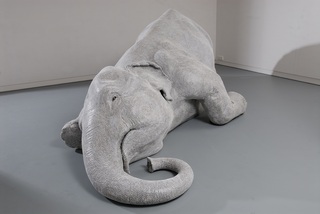 The skin speaks a language not its own,Bharti Kher