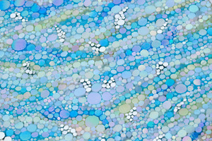 20121001135854-nathalie-vin-koi-fish-7