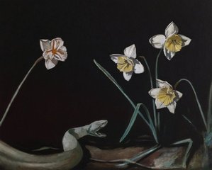 Daffodils,Glenn Sorensen