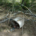 20121001155435-before