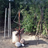 20121001160109-riversongjunksale