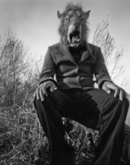 Lion Man,
