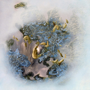 20121001202628-untitled_planetearthisblue_