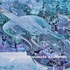 20121002010830-wp120-op-a20-_crystal_violin__moustafa_al-hatter_jan_2007