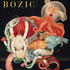 20121002043142-tiffany-bozic-final-cover_sm