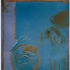 20121002045526-guadalupe_website
