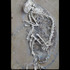 20121002104257-faunfaun