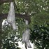 20121002112902-adip_dutta_nestled_img_1