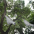 20121002113024-adip_dutta_nestled_img_3