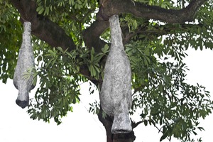 20121002113100-adip_dutta_nestled_img_2