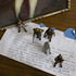 20121002113333-bani_abidi_twc_oldman2