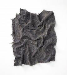 Red Wings (Blanket),Nick Kramer