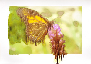 20121003152148-slurry_monarch_218-6_lighter