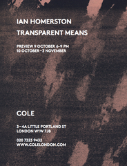 Transparent Means,Ian Homerston