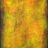 20121003195831-mholzinger_greentower