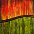 20121003200359-mholzinger-reedfield