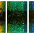 20121003230012-spectral_rift