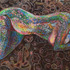 20121004073259-cimg0615