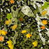 20121004090129-sadness_2