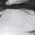 20121004095353-lauttaranta160x140cm