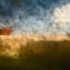 The-red-house2