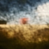 The-red-house3